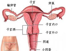 和田做无痛引产哪家医院好